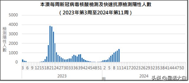 澳门广东二八站,数据驱动实施方案_W72.269