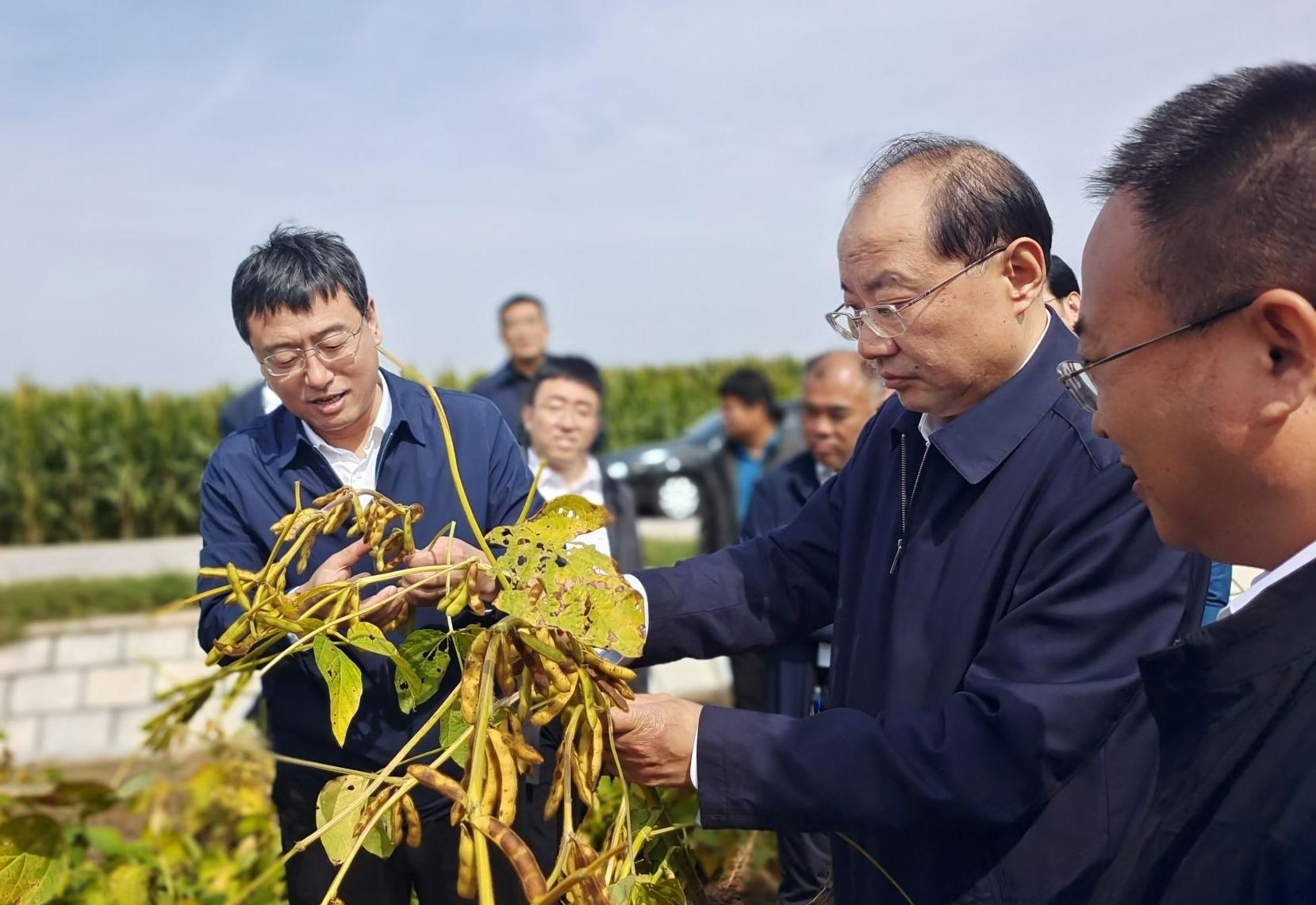 德平镇最新项目——地区发展的强大引擎驱动力